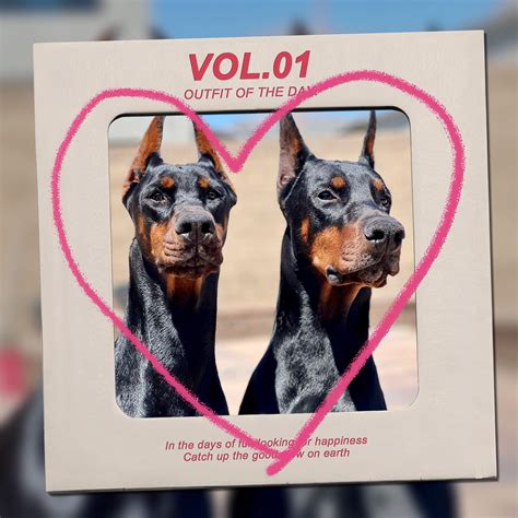 doberman puppies for sale las vegas nv